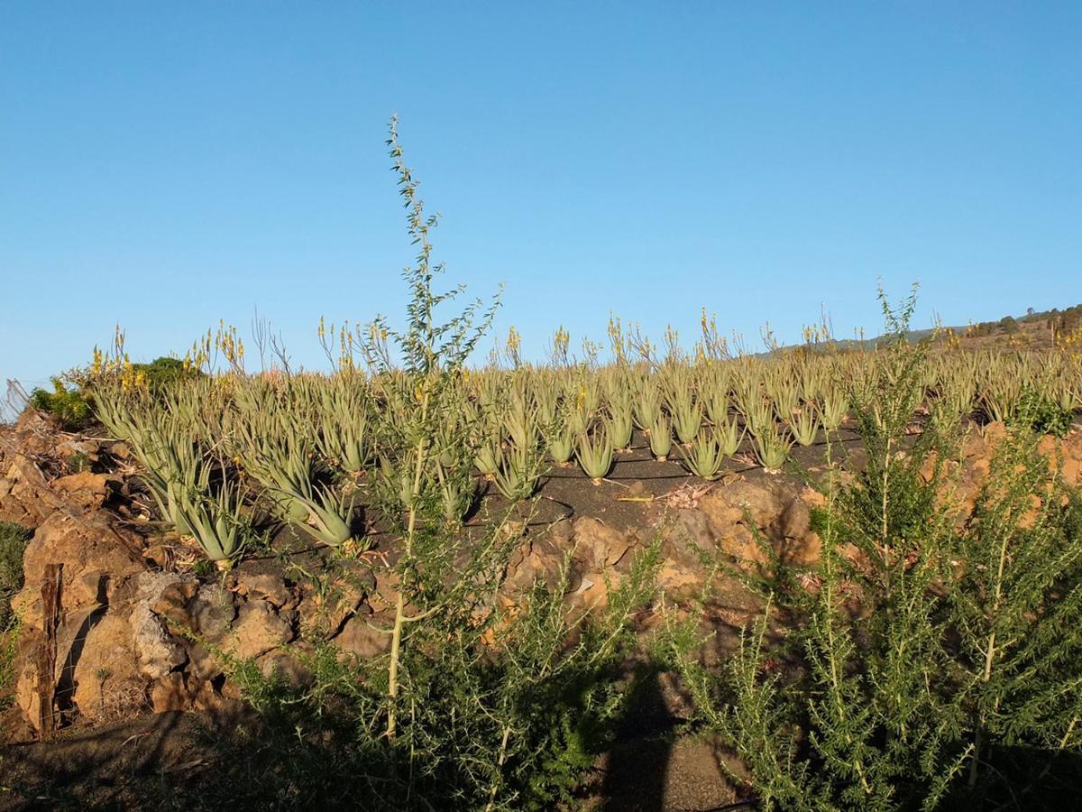 Casa Rural Los Santillos El Pinar  外观 照片