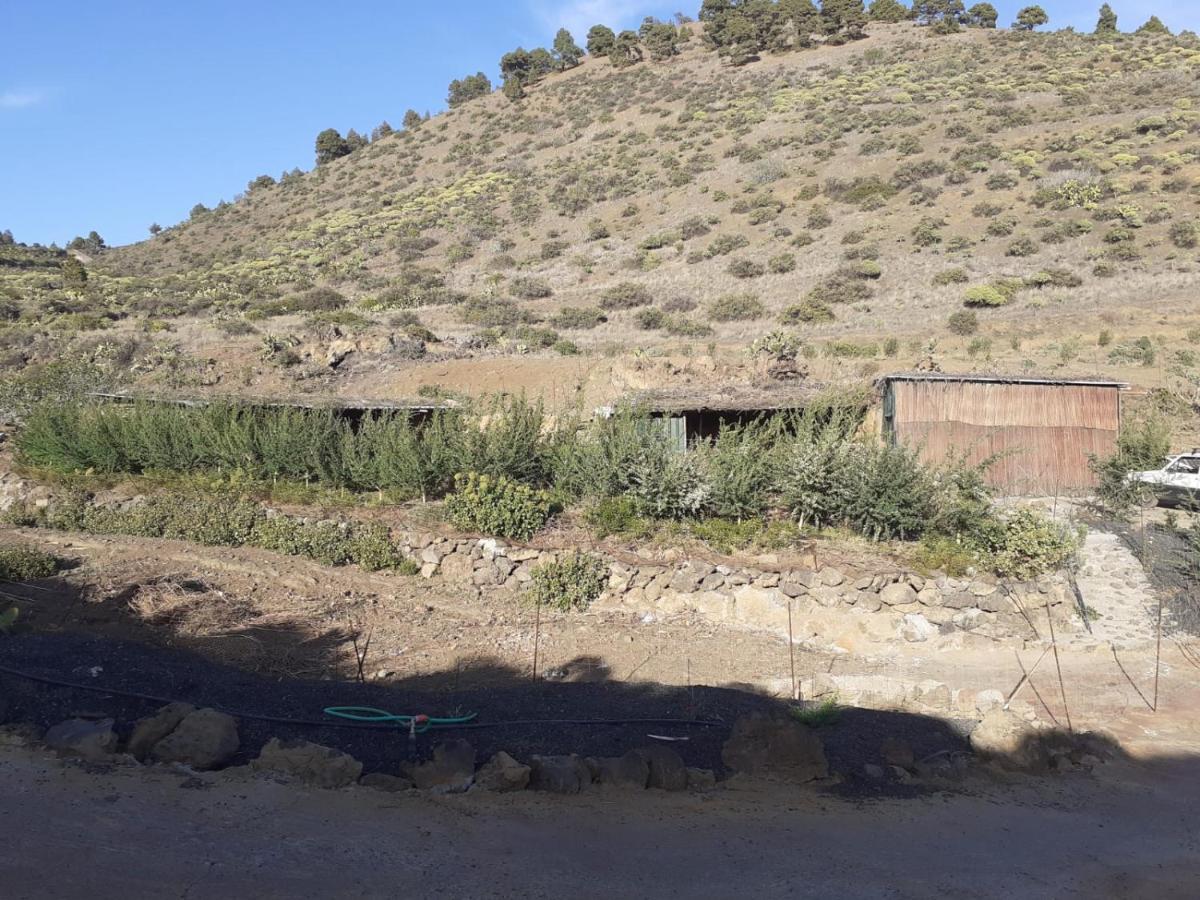 Casa Rural Los Santillos El Pinar  外观 照片