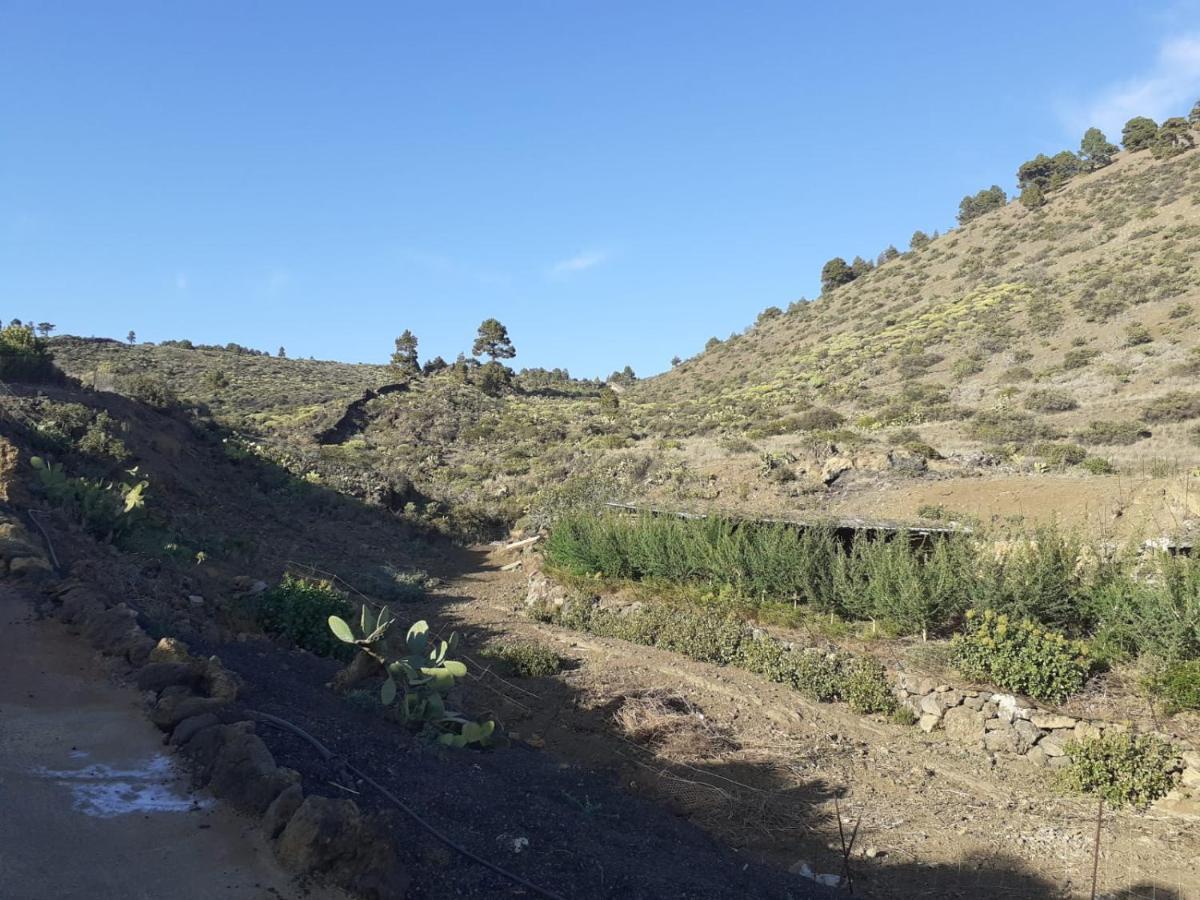 Casa Rural Los Santillos El Pinar  外观 照片